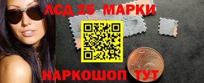 сатива Славгород