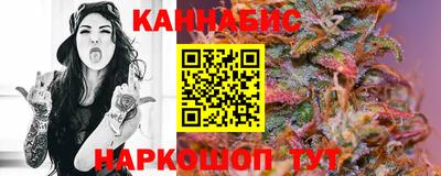 сатива Славгород