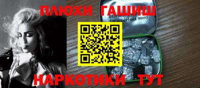 сатива Славгород