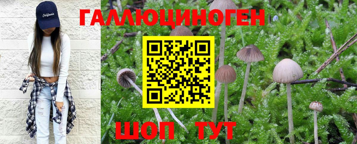 Псилоцибиновые грибы мухоморы Алушта