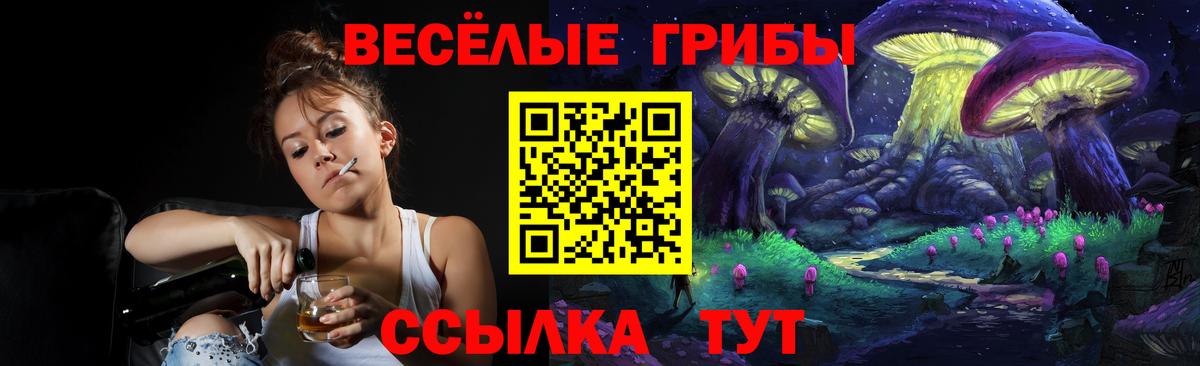 Галлюциногенные грибы MAGIC MUSHROOMS  Галлюциногенные грибы GOLDEN TEACHER  Вход с VPN  Алушта 